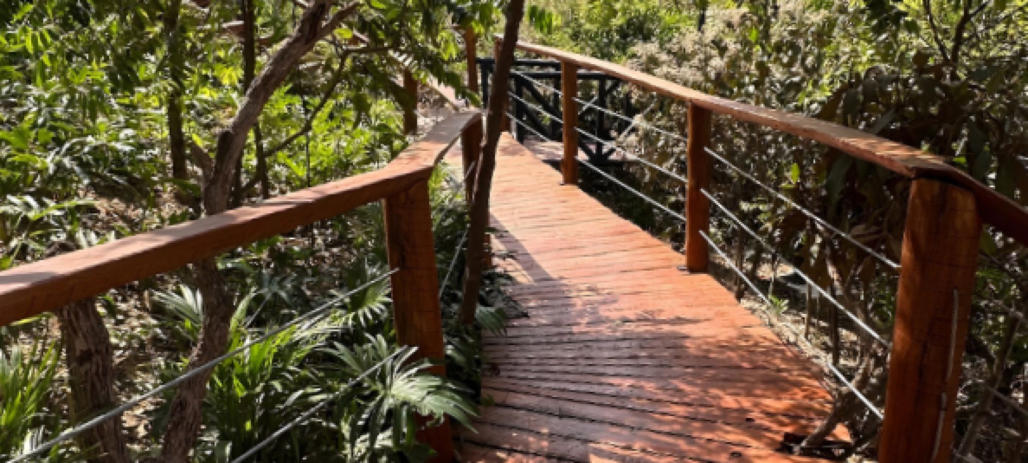 casa encanto verde (21)